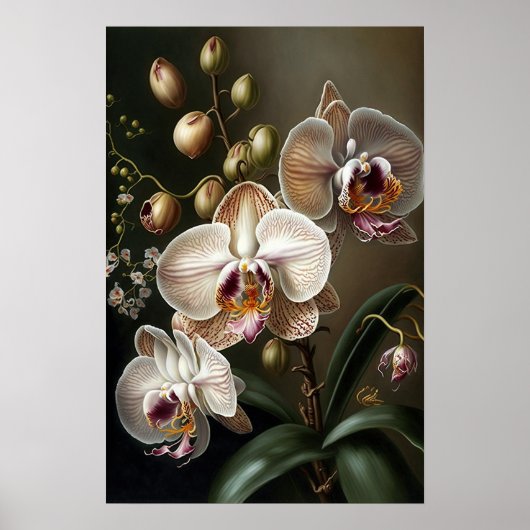 Blume Orchideen Poster (Vorne)