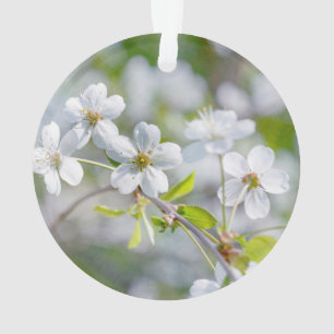 Blume Ornament