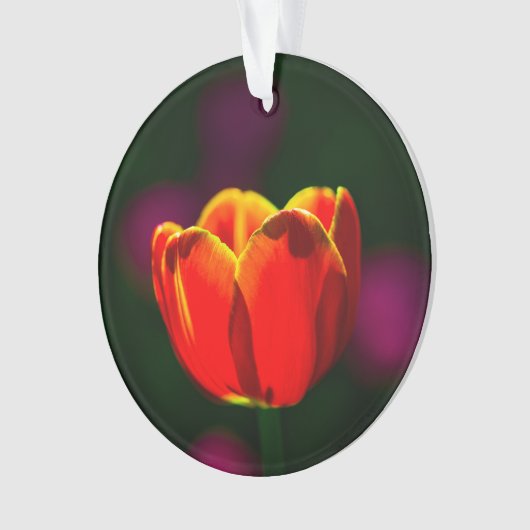 Blume Ornament (Vorderseite)