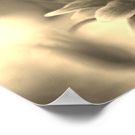 Blume Pair in Sepia Poster (Ecke)