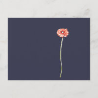 Blume Pale Red Gerbera