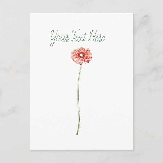 Blume Pale Red Gerbera Postkarte (Vorderseite)