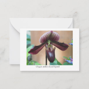 Blume Paphiopedilum Mitteilungskarte