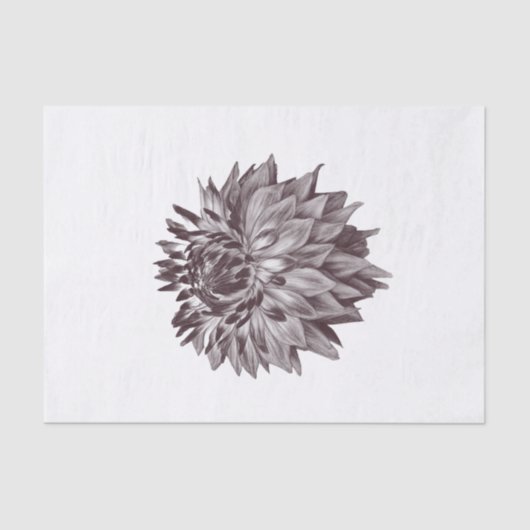 Blume-Papiere für dekorative Kunstgifte Seidenpapier (Vorderseite)