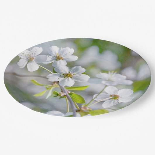 Blume Pappteller (Schrägansicht)