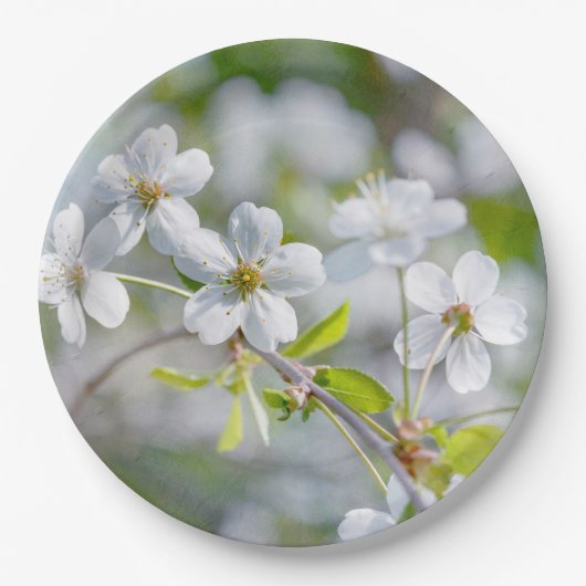 Blume Pappteller (Vorderseite)