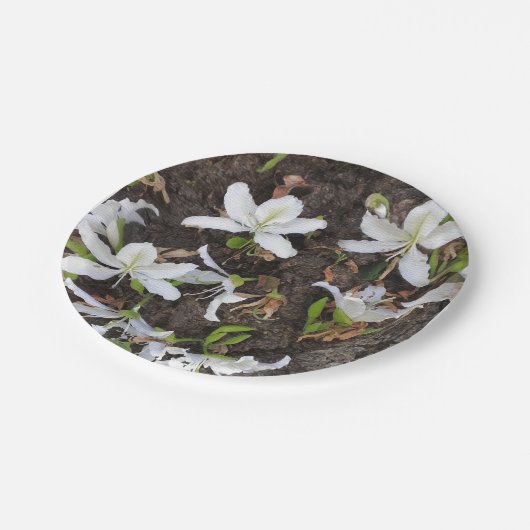 Blume Pappteller (Schrägansicht)