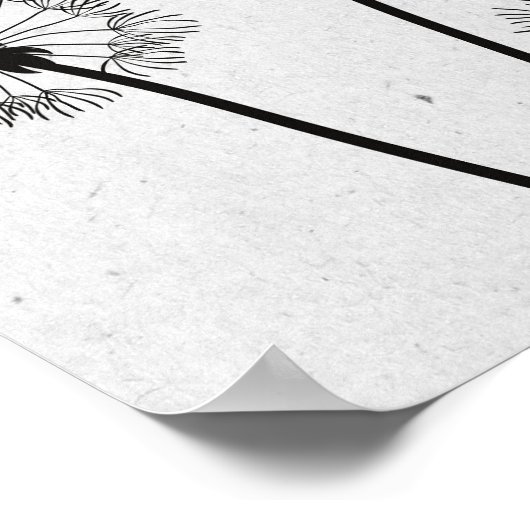 Blume Pappus Spores Grau Poster (Ecke)