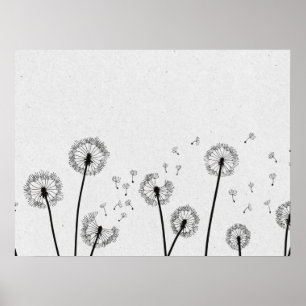 Blume Pappus Spores Grau Poster