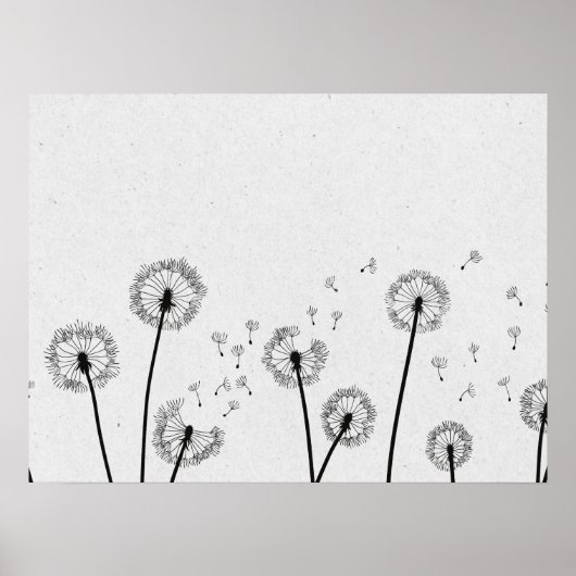 Blume Pappus Spores Grau Poster (Vorne)