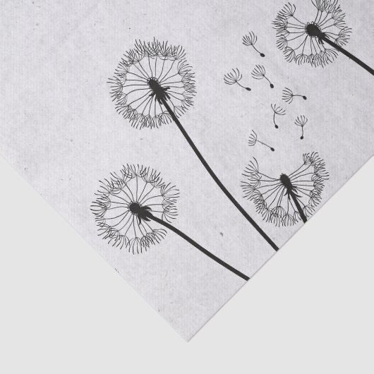 Blume Pappus Spores Grau Seidenpapier (Ausschnitt)