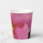 Blume Pastel Pink African Violet (Saintpaulia) Pappbecher (Rückseite)