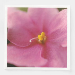 Blume Pastel Pink African Violet (Saintpaulia) Serviette