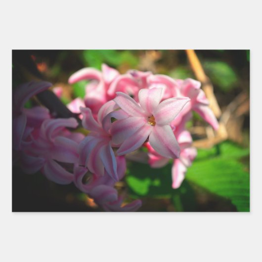 Blume Pastel Pink Hyacinth (Hyacinthus) Geschenkpapier Set (Vorderseite 2)