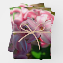 Blume Pastel Pink Hyacinth (Hyacinthus) Geschenkpapier Set
