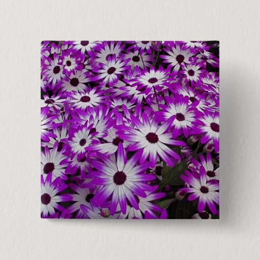 Blume pattern, Kuekenhof Gardens, Lisse, Button (Vorderseite)