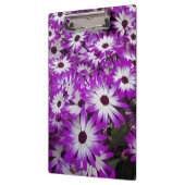 Blume pattern, Kuekenhof Gardens, Lisse, Klemmbrett (Links)