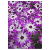 Blume pattern, Kuekenhof Gardens, Lisse, Klemmbrett (Rückseite)