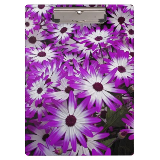 Blume pattern, Kuekenhof Gardens, Lisse, Klemmbrett (Vorderseite)