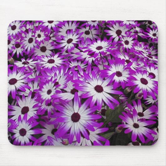 Blume pattern, Kuekenhof Gardens, Lisse, Mousepad (Vorne)