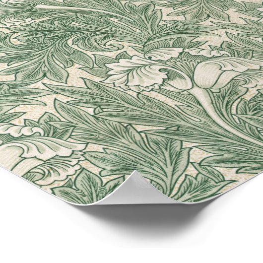Blume Pattern, William Morris Poster (Ecke)