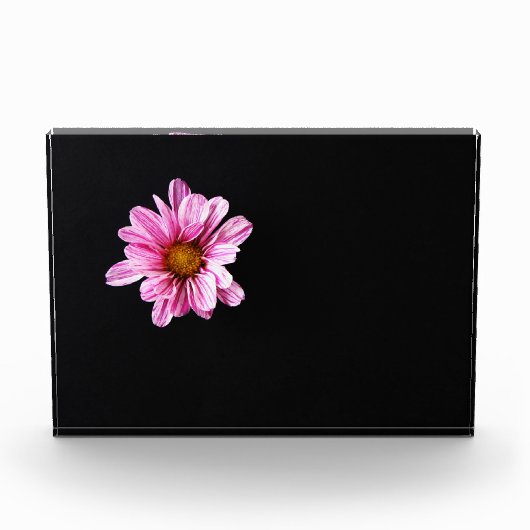 Blume pbcna fotoblock (Vorderseite)