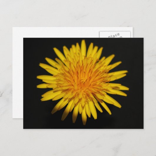 Blume pccnm postkarte (Vorne/Hinten)