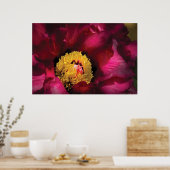 Blume - Peony Poster (Küche)