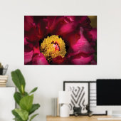 Blume - Peony Poster (Heimbüro)