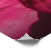 Blume - Peony Poster (Ecke)