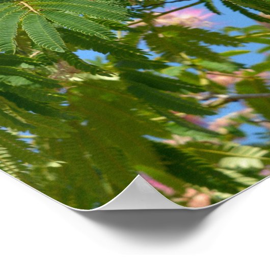 Blume persischer Seidenbaum Poster (Ecke)