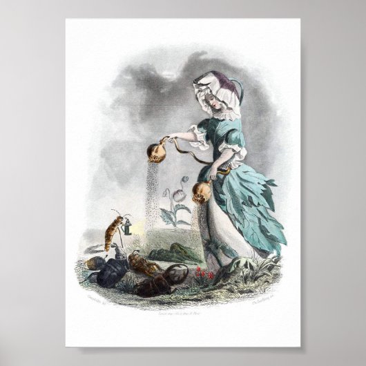 Blume personifiziert - Mohn Poster (Vorne)