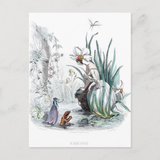 Blume personifiziert postkarte (Vorderseite)