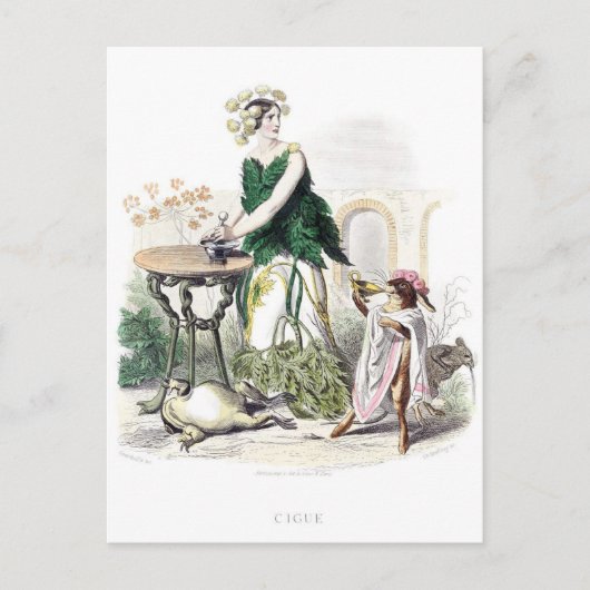 Blume personifiziert postkarte (Vorderseite)