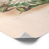 Blume personifiziert - Rose-Poster Poster (Ecke)