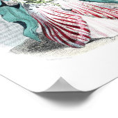 Blume personifiziert - Tulip Poster (Ecke)