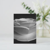 Blume Petal Bowls Postkarte (Stehend Vorderseite)