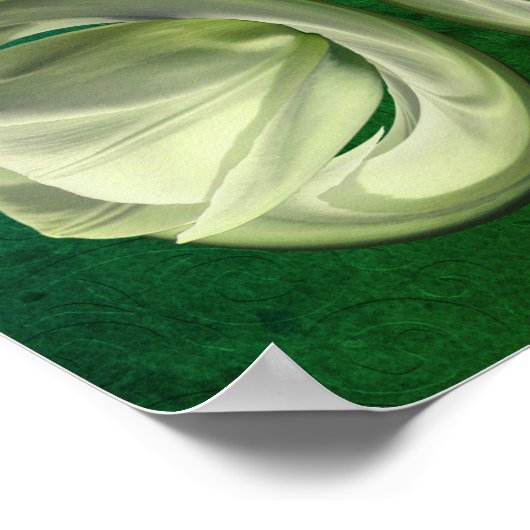 Blume Petals Abstrakt Poster (Ecke)