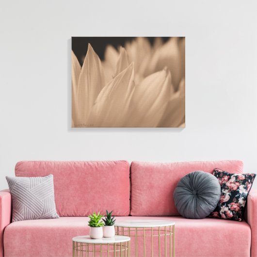 Blume Petals in Sepia Tone Leinwand (Insitu (Wohnzimmer))