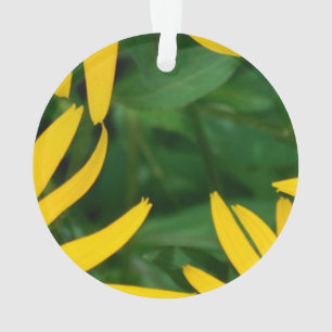 Blume Petals Ornament