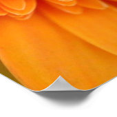 Blume Petals Poster (Ecke)