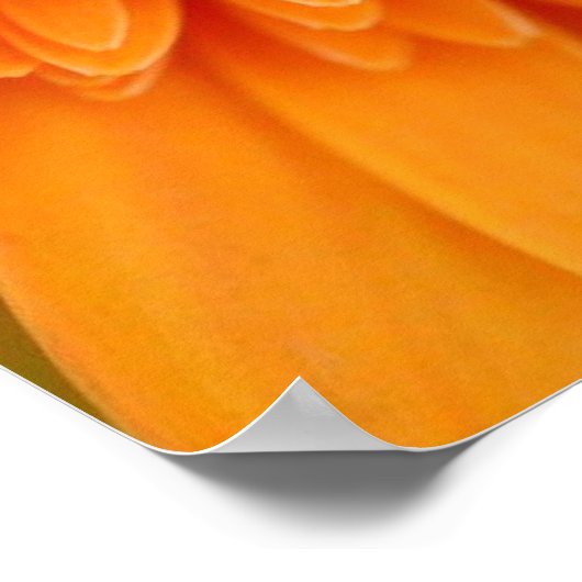Blume Petals Poster (Ecke)
