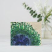 Blume Pfauenfarben Postkarte (Stehend Vorderseite)