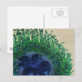 Blume Pfauenfarben Postkarte (Vorne/Hinten)