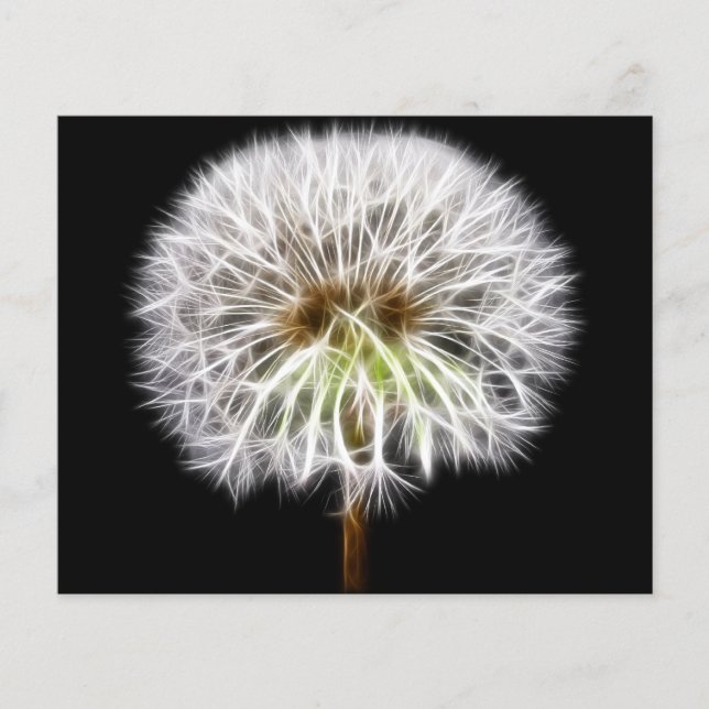 Blume Pflanze (Vorderseite)