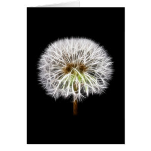 Blume Pflanze