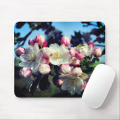 Blume phantastischer Frühjahrsblüten Mousepad (Mit Mouse)