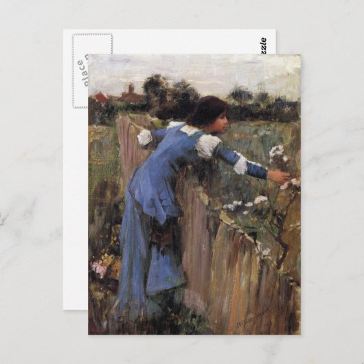 Blume Picker Postkarte (Vorne/Hinten)