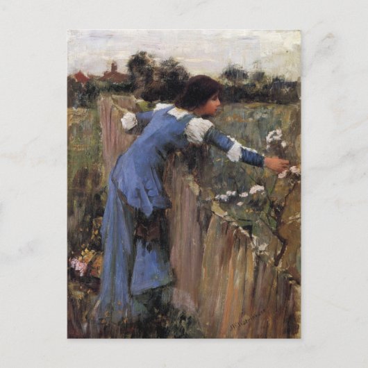 Blume Picker Postkarte (Vorderseite)