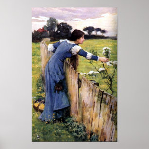 Blume Picker von John Waterhouse Print Poster